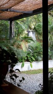 uma vista para um jardim a partir de uma janela em Hostal Casa Mosaiko Patio Bonito Poblado em Medellín