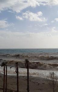 two palm trees on a beach with the ocean at Anxhelos Hotel in Himare