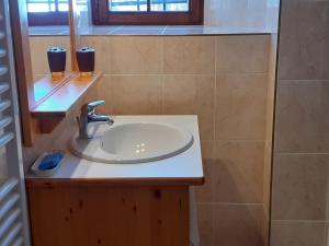 a bathroom with a sink and a mirror at appartement edlweiss 4 pers dans gite"la maison d'augustin" classé 3 étoiles, la tour,73530 st jean d'arves in Saint-Jean-dʼArves +43 photos
