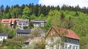 un gruppo di case su una collina con alberi di Pension Talblick Bad Grund a Bad Grund