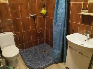 a bathroom with a shower with a toilet and a sink at Plieņciems Urgas Mazais numurs in Plieņciems