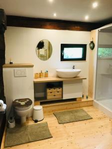 een badkamer met een wastafel en een toilet bij Haus Lahner in Bad Bleiberg