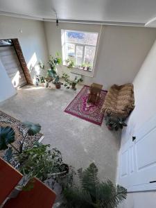 a living room with a lot of plants and a window at Emir Guest House in Karakol in Karakol