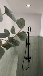 a plant in a shower in a bathroom at Apartamento a 8km Sevilla centro in Valencina de la Concepción