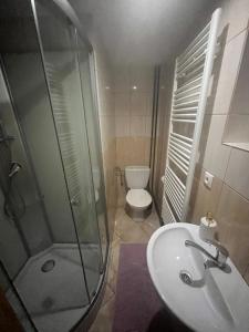 a bathroom with a shower and a sink and a toilet at Apartmánový dom v Panoráma Parku in Nezbudská Lúčka +23 photos