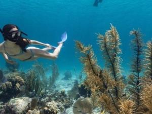 a woman swimming in the ocean with a paddle at Villa on The Beach Seaside Sunrise Haven 7 bedroom in Cancún