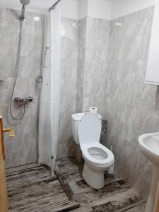 a bathroom with a toilet and a sink at Vila Esperia Rânca in Ranca +129 photos
