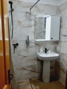 a bathroom with a sink and a mirror at Vila Esperia Rânca in Ranca