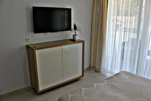 a tv on top of a cabinet with a potted plant at Willa Exotic kryty basen in Łeba