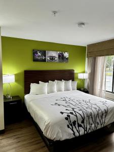 薩凡納的住宿－Sleep Inn Savannah Gateway I-95，一间卧室设有一张大床和绿色的墙壁