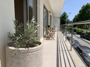 a balcony with a potted plant on the side of a building at Celorico Village AP in Celorico de Basto