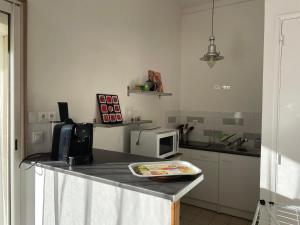 eine Küche mit Theke und Mikrowelle in der Unterkunft Studio entre Aix et Marseille in Bouc-Bel-Air