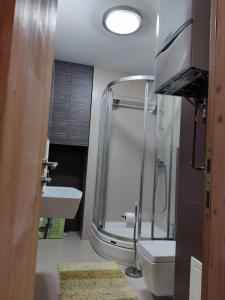 a bathroom with a shower and a toilet and a sink at Apartman Adna in Trnovo