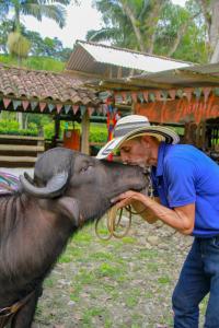 Ein Mann mit Hut küsst einen Elefanten in der Unterkunft El Remanso Complejo Ecoturistico 