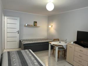 a bedroom with a bed and a table and a television at U Wisi in Wałbrzych