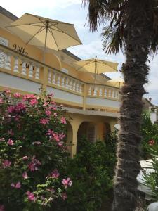 a building with a palm tree and an umbrella at Apartments and Rooms Villa Luci in Barbat na Rabu