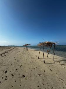 um grupo de guarda-sóis de palha numa praia em Pousada Maré Alta em Boipeba na Ilha de Boipeba