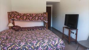 1 dormitorio con 1 cama y TV de pantalla plana en Chalet Los Manantiales en Villa Carlos Paz