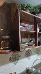 a kitchen shelf with dishes and plants on it at Casa Rústica Lisboa 100m da praia in Balneário Camboriú