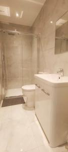 a bathroom with a sink and a toilet and a shower at Hendon Garden in The Hyde in The Hyde