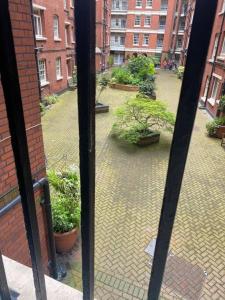 una ventana con vistas a un patio con plantas en London's Charm - Best Spot in Modern 2BR, King's Cross, en Londres