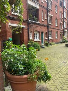 una gran olla de plantas frente a un edificio de ladrillo en London's Charm - Best Spot in Modern 2BR, King's Cross, en Londres