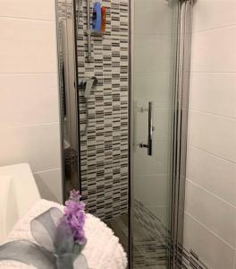 bagno con doccia in vetro con fiore viola di Comfortable Apartment in Sant'Orsola a Bologna