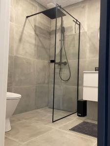 La salle de bains est pourvue d'une cabine de douche et de toilettes. dans l'établissement Hyggelig nyrenoveret lejlighed til 4 Personer, à Agerbæk