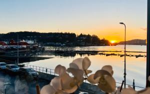 uma vista de um corpo de água com o pôr do sol em Island View em Oban