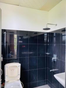 baño con aseo y pared de azulejos azules en Aramba Resort, en Dondra West