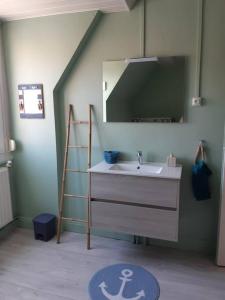 ein Badezimmer mit einem Waschbecken, einer Leiter und einem Spiegel in der Unterkunft "Le Petit Marin", 2 ch, parking privé, 5 mn plage in Le Portel