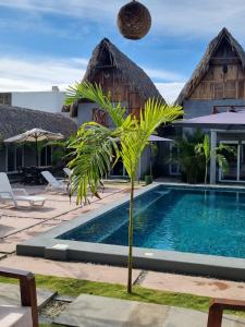 a resort with a palm tree in front of a swimming pool at Gecko Hotel in El Paredón Buena Vista