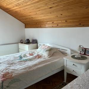 - une chambre avec un lit et un plafond en bois dans l'établissement Zelena Oaza Krupanj, à Krupanj