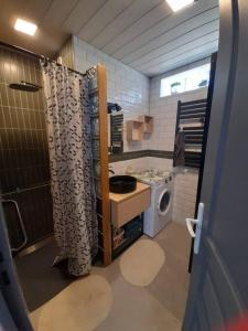 ein kleines Bad mit einem Waschbecken und einer Waschmaschine in der Unterkunft Gîtes, maisonnette de charme in Crestet