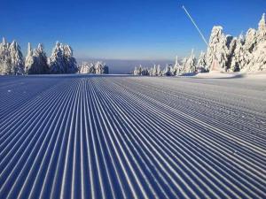 ein hohes schneebedecktes Feld mit Bäumen im Hintergrund in der Unterkunft Ski hotel DOBRODOLAC in Kopaonik