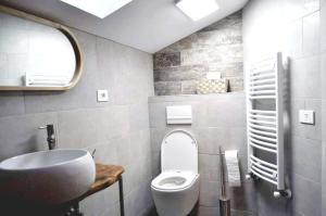 a bathroom with a sink and a toilet at Vila Eruga- Apartament 3 in Poiana Mărului