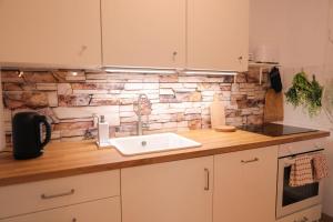 una cucina con un lavello e un muro di mattoni di Proton apartment a Jáchymov Altre 30 foto