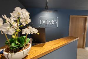 梅利哈的住宿－DOMS Boutique Living，座在台上带有标志的盆栽植物