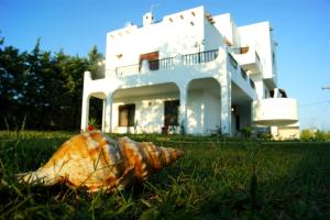 eine Muschel im Gras vor einem Haus in der Unterkunft Simplicity at Iris Accommodation Adults only in Psakoudia