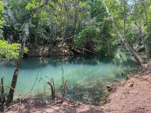 Imagen de la galería de Chalés Pocoó com rio exclusivo, en Bonito 48 fotos más