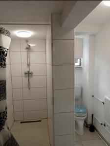 a bathroom with a shower and a toilet at Andrei Ferienwohnung in Marktbreit