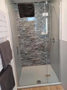 a shower with a glass door in a bathroom at Bianca's Ferienwohnungen in Giebelstadt