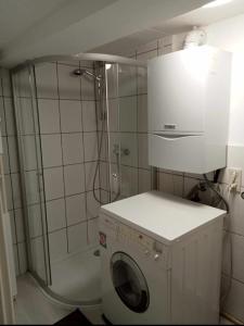 a washing machine in a bathroom with a shower at Andrei Ferienwohnung in Marktbreit