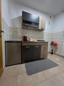 a kitchen with a sink and a tv on the wall at Apartman S Pale in Pale
