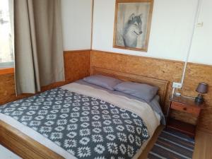 1 dormitorio con 1 cama y una foto de un caballo en Hostal Armando, en Valparaíso