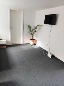 a room with a potted plant and a television at Andrei Ferienwohnung in Marktbreit