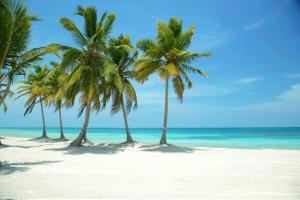 Fotografie z fotogalerie ubytování VIlla Caracol v destinaci Punta Cana