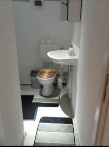 a small bathroom with a toilet and a sink at Andrei Ferienwohnung in Marktbreit