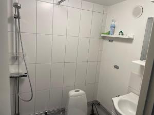 Kylpyhuone majoituspaikassa Fjällkåken