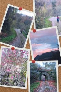 Фотография из галереи HOTEL RURAL LA ENGAÑA в городе Pedrosa